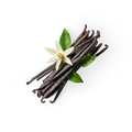 Vanilla