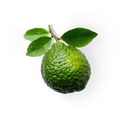 Bergamot