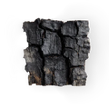 Smoky Birch