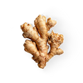 Ginger