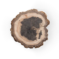 Guaiac Wood