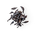 Black Tea Accord