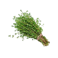 Thyme